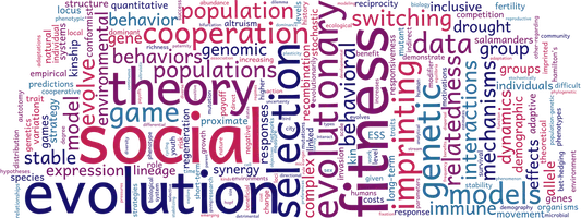 Word cloud from paper abstracts